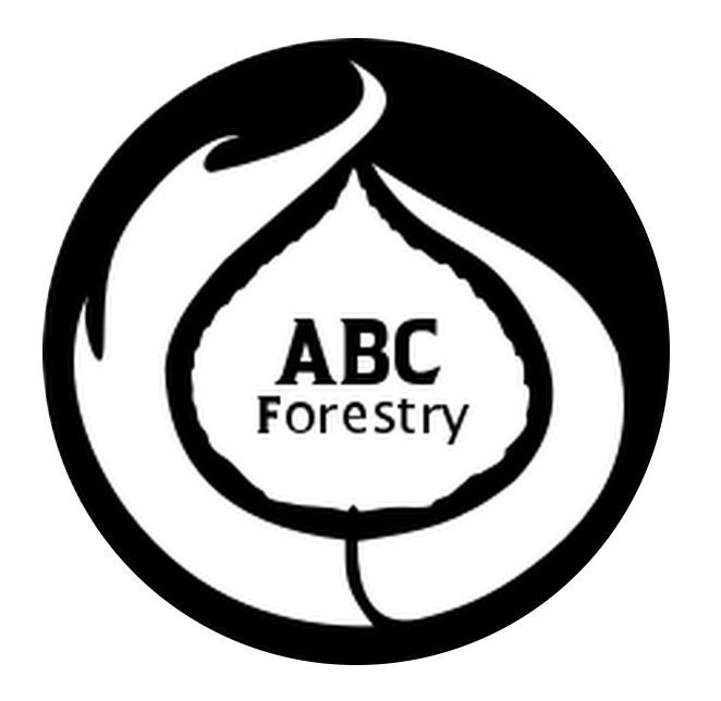 ABC Forestry logo